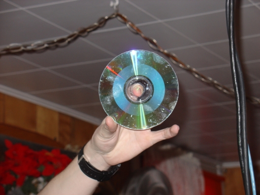CD WinXP MetalWood