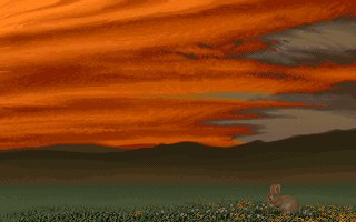 Bunny 1